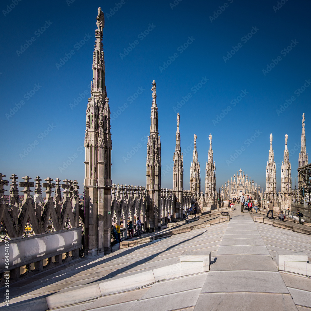 Fototapeta premium Duomo Milan - taras