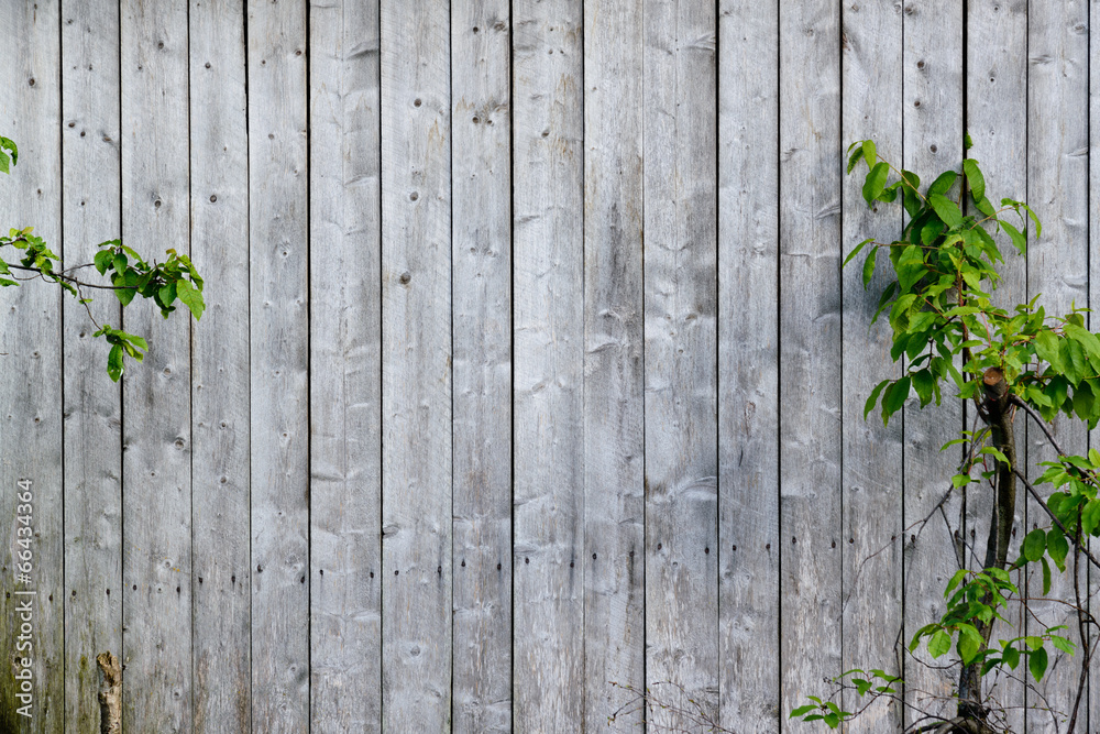 old wood wall old wood wall