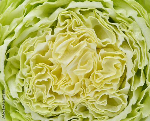 Slice of fresh chinese cabbage. Isolated on a white background