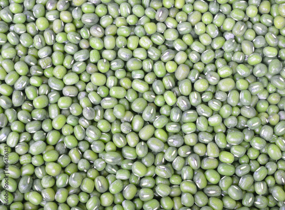 dried mung beans