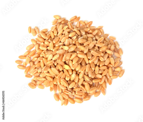 pile of pearl barley isolated on white