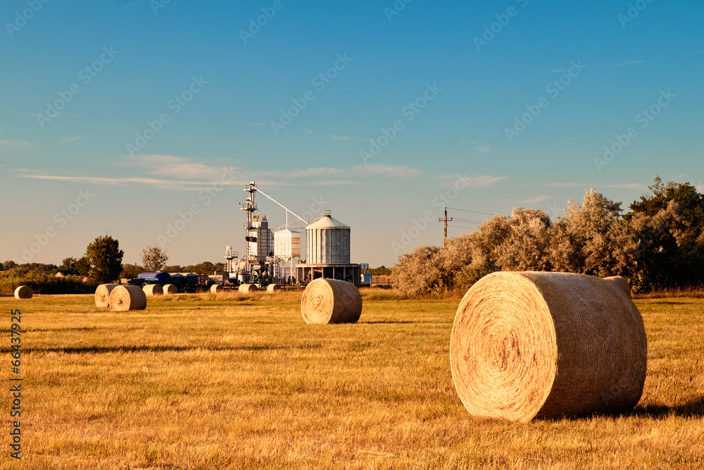 Obraz premium Farmland