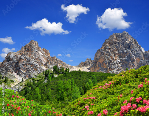 Fanes Park, Dolomites - Italy