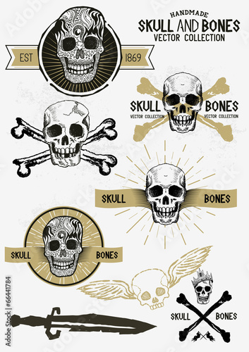 Vector Pirate Skull and Bones Set