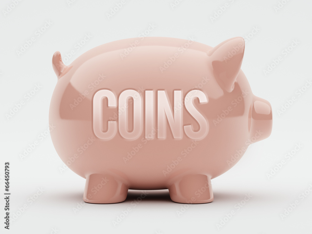 Obraz premium Coins Concept