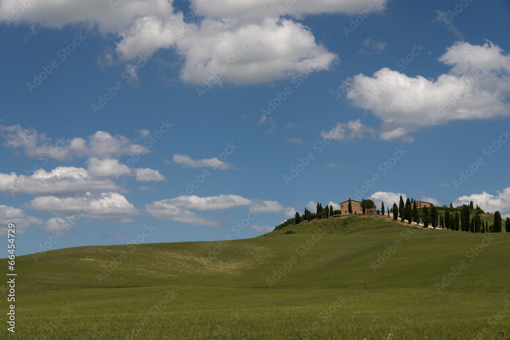 Obraz premium Chianti Landscape