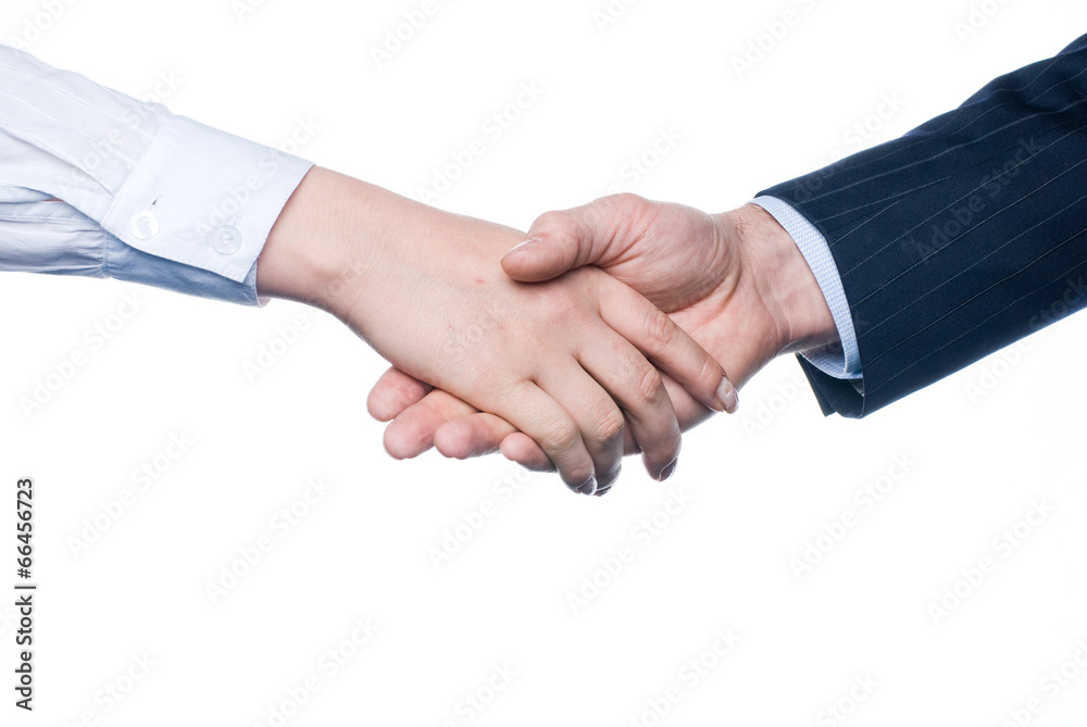 Business handshake
