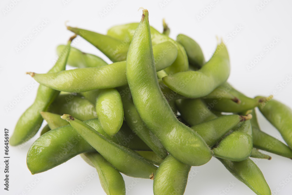 枝豆 枝豆