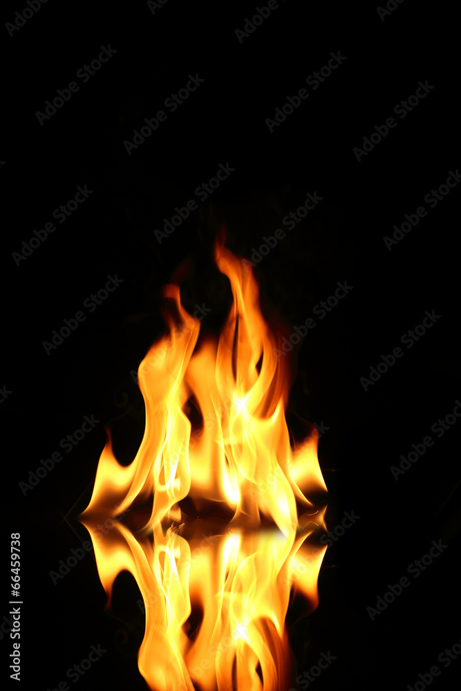 Fototapeta premium Flame of fire in a night-time