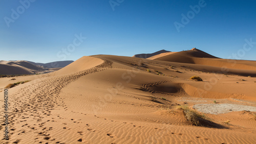 Path on the sand dune