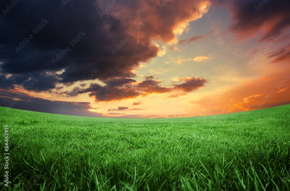 Green field under orange sky