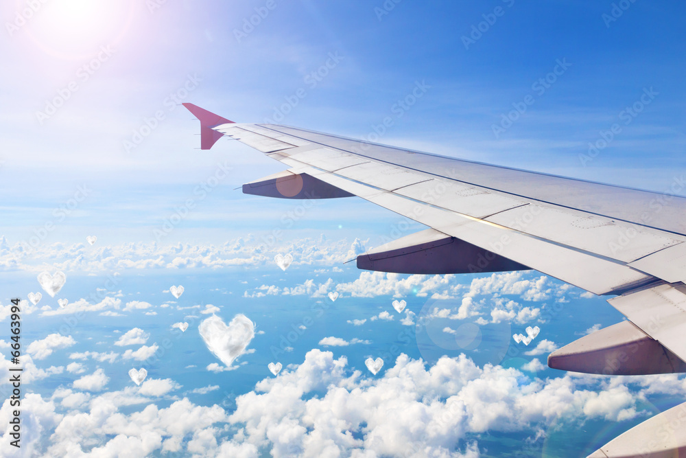 Airplane wing Airplane wing