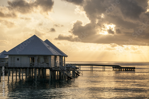 landscape at sunset