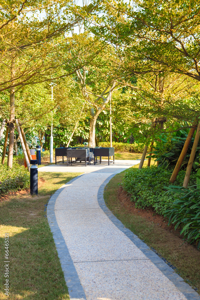 Obraz premium Tranquil Garden with footpath through
