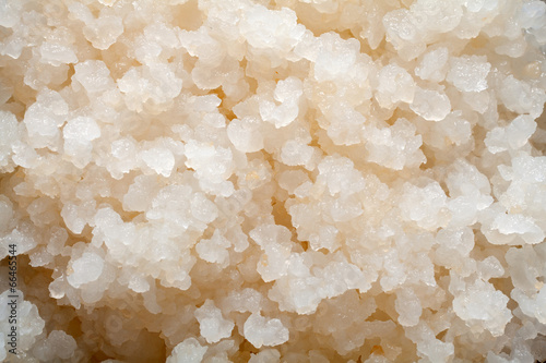 Water kefir grains