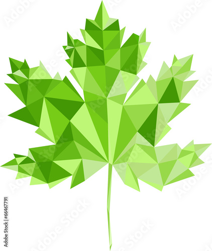 Green maple-leaf by triangles, polygon vector illustration