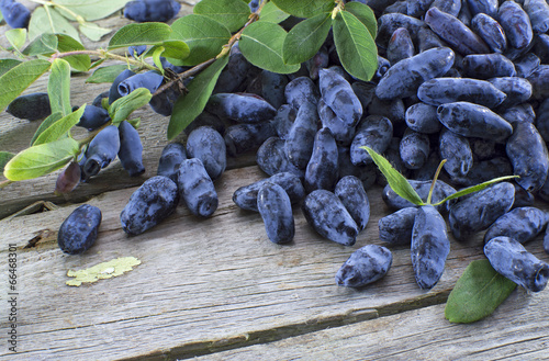 Pile of honeysuckle berries with copyspace