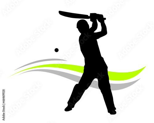 cricket - 1