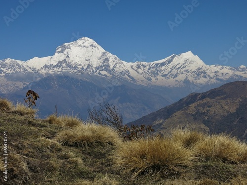 Dhaulagiri and Tukuche Peak, view from Mohare viewpoint