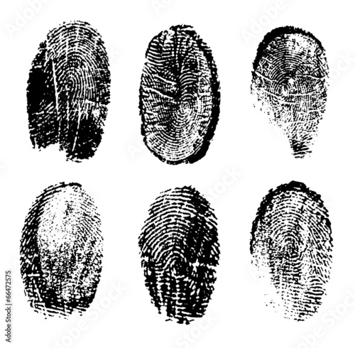 many different black fingerprints, vector