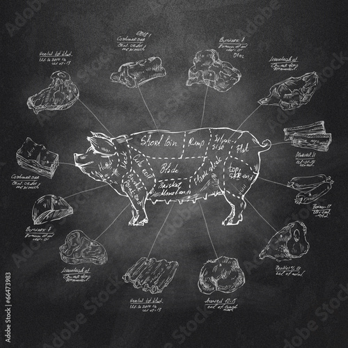 Pig. Vector format