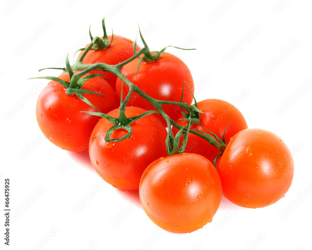 Tomatoes