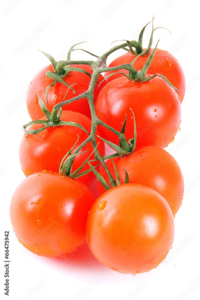 Tomatoes