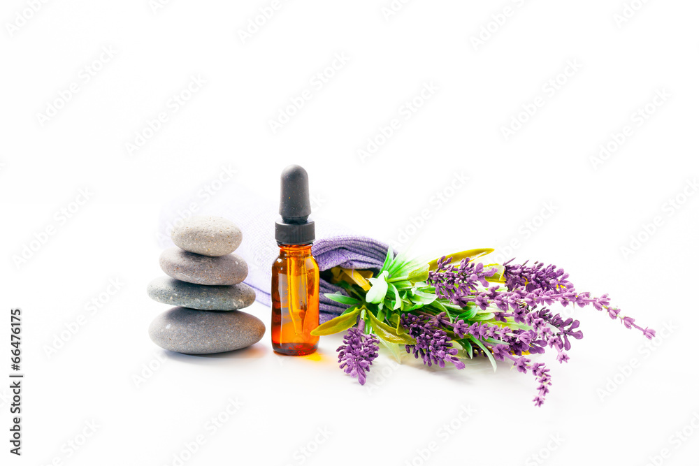 lavender flowers lavender flowers