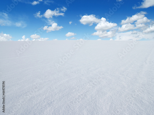 Quadro su tela snow field