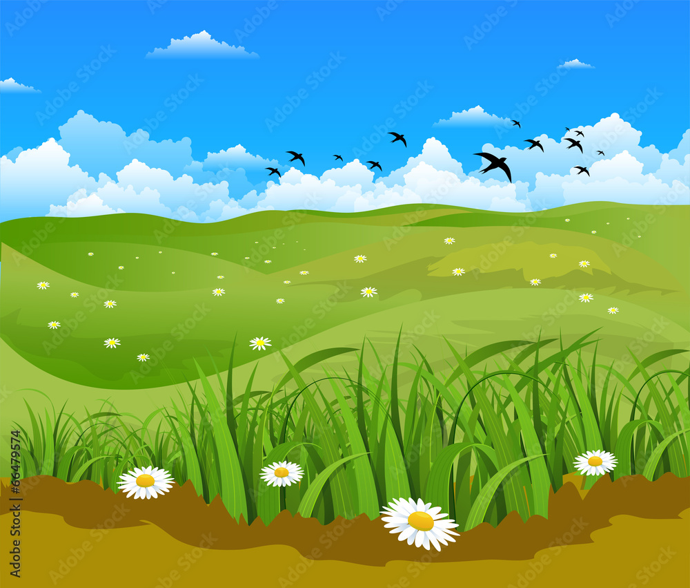 Nature background