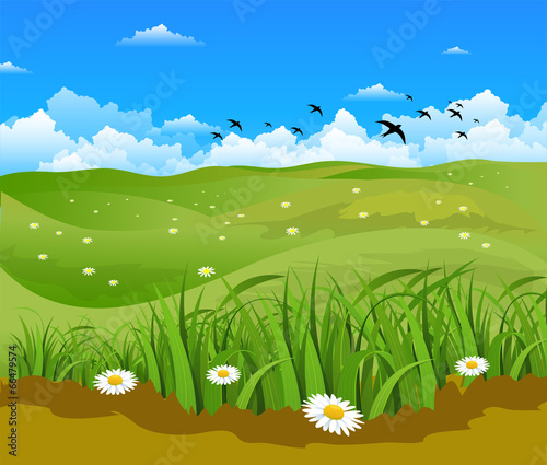 Nature background