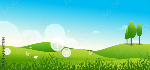 Nature background
