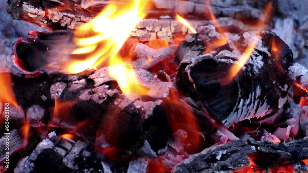 Wood in fire