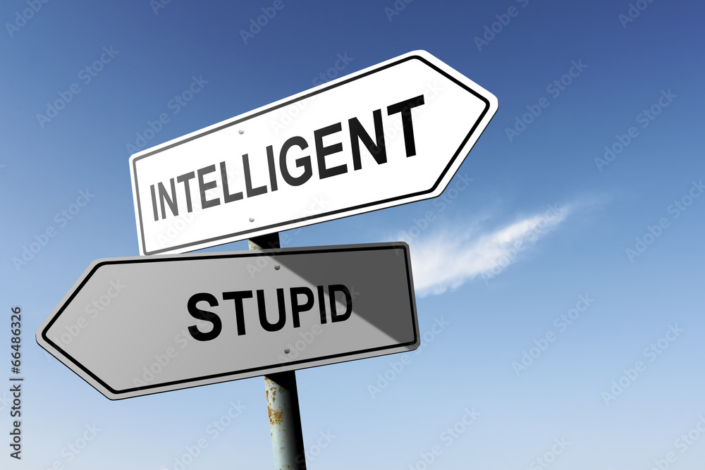 Intelligent and Stupid directions. Opposite traffic sign. Intelligent and Stupid directions. Opposite traffic sign.