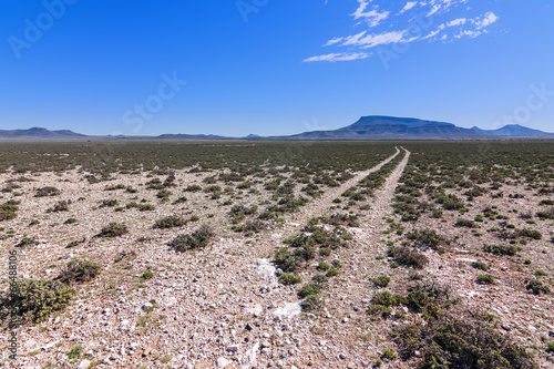 dry desert photo