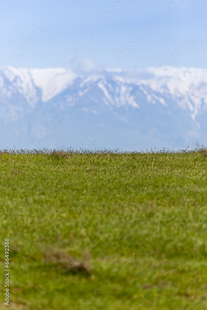 green glade near the snowy mountains