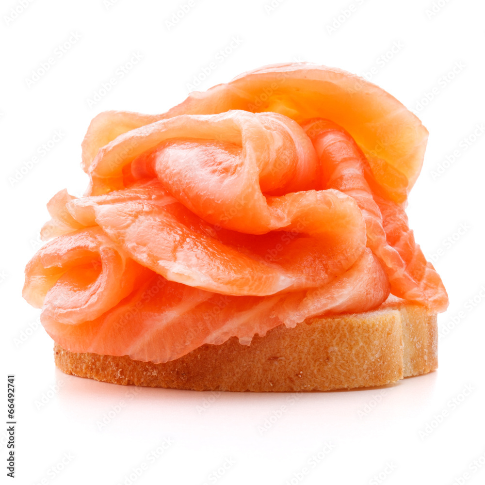 sandwich or canape with salmon on white background cutout sandwich or canape with salmon on white background cutout