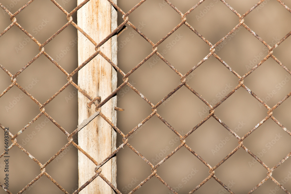 Fototapeta premium Background of the metal mesh fence