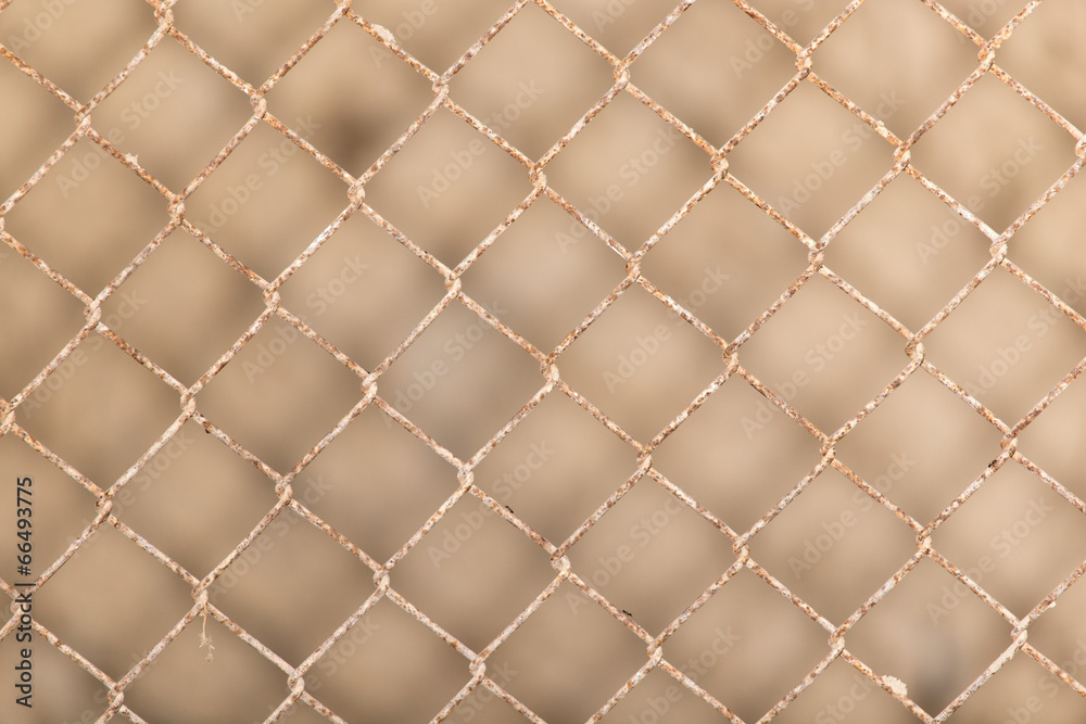 Fototapeta premium Background of the metal mesh fence