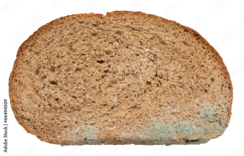 Moldy bread. Isolated on white background Moldy bread. Isolated on white background