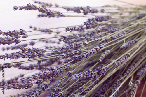 Fototapeta Naklejka Na Ścianę i Meble -  bunch of lavender flowers