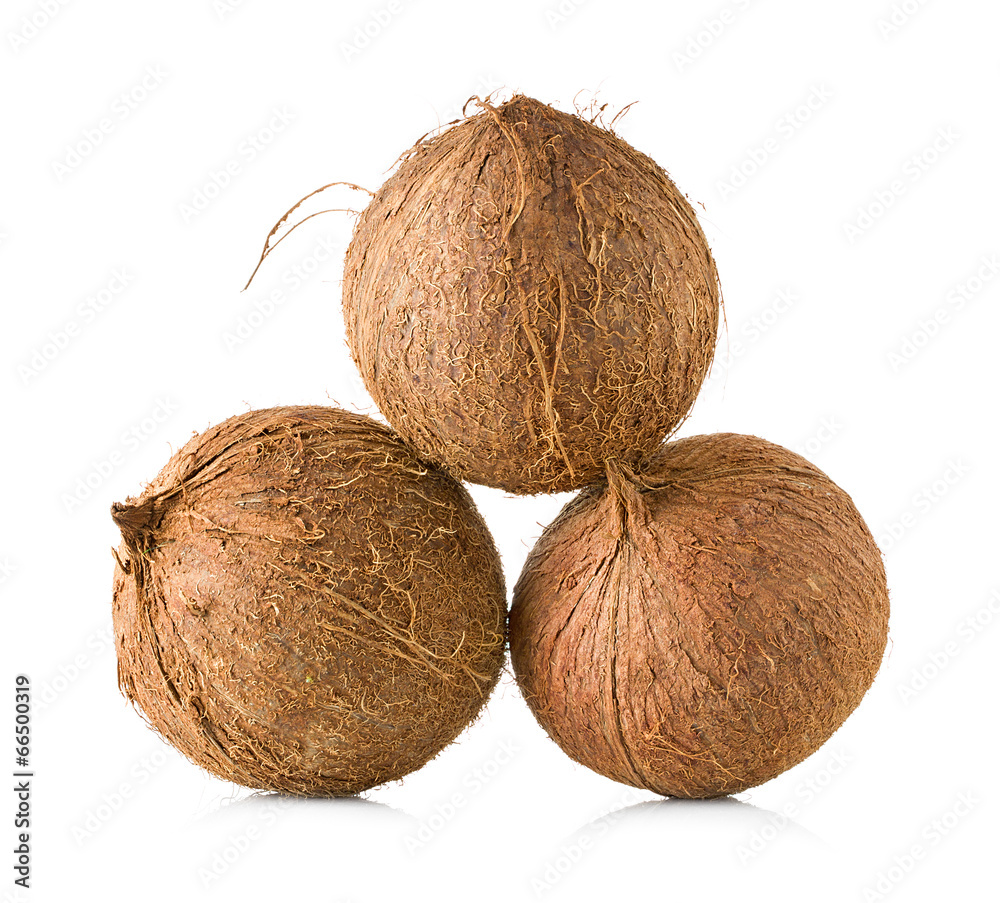 coconuts isolated on white background coconuts isolated on white background