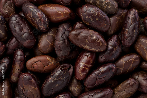 Whole Cacoa Nibs (Theobroma cacao) photo
