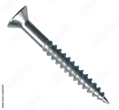 Screw