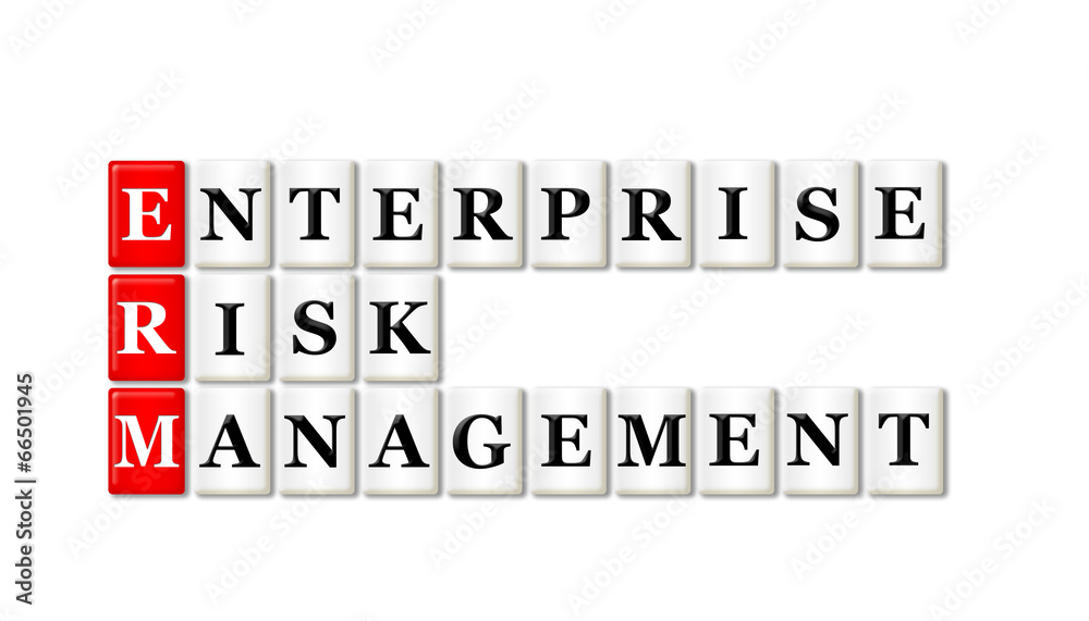 Enterprise Risk Management Enterprise Risk Management