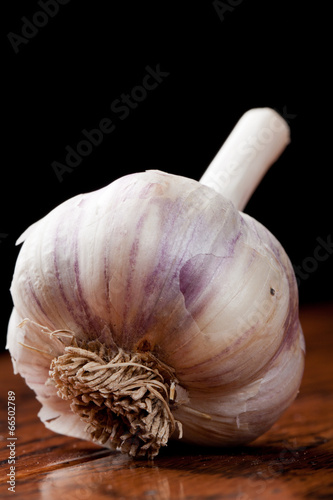 Close-up of hard to find Spanish Roja Gourmet Garlic Bulb photo