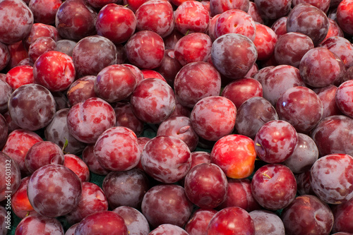 Abstract background of freshly harvested Santa Rosa plums