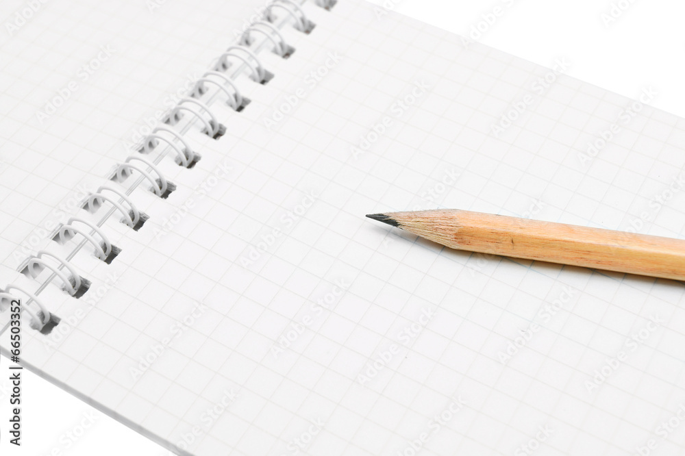 Notebook and pencil.