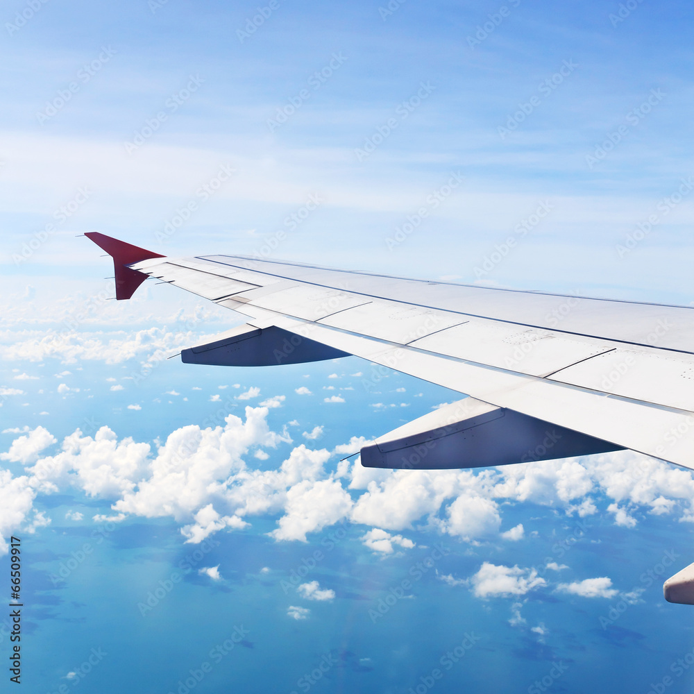 Airplane wing Airplane wing