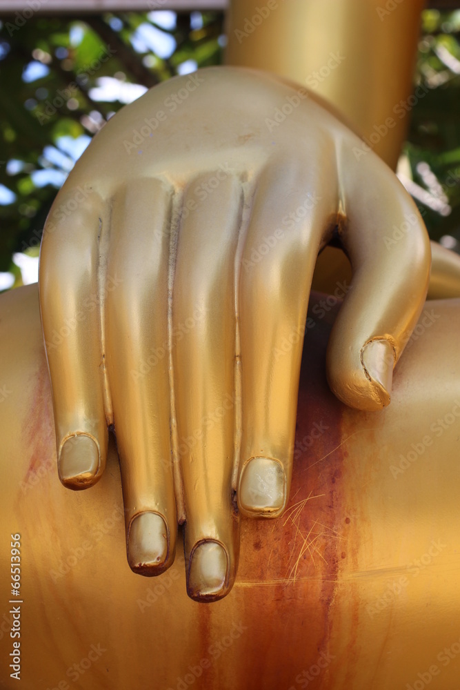 Obraz premium Buddha hand